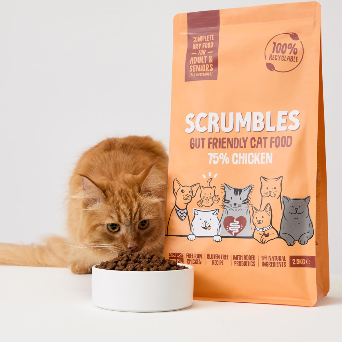 Scrumbles All Natural Dry Cat Food With Chicken and Fresh Salmon, High Protein Food for Adults And Seniors, 2.5 Kg,pink bag