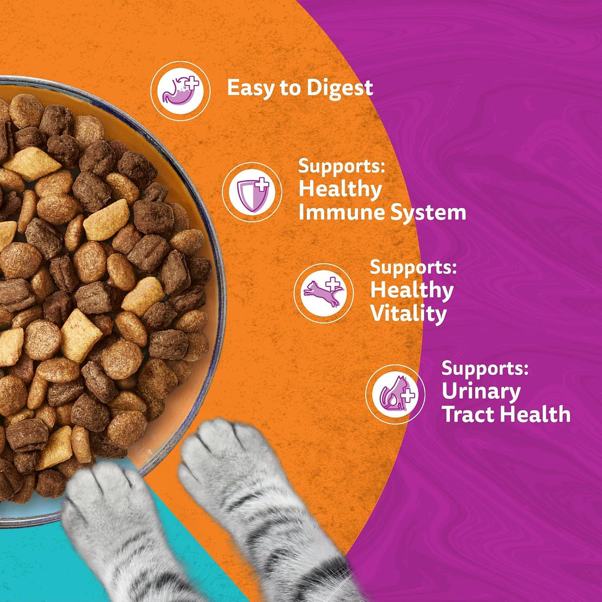 WHISKAS 1+ DUO Surf & Turf Dry Cat Food 1.9kg
