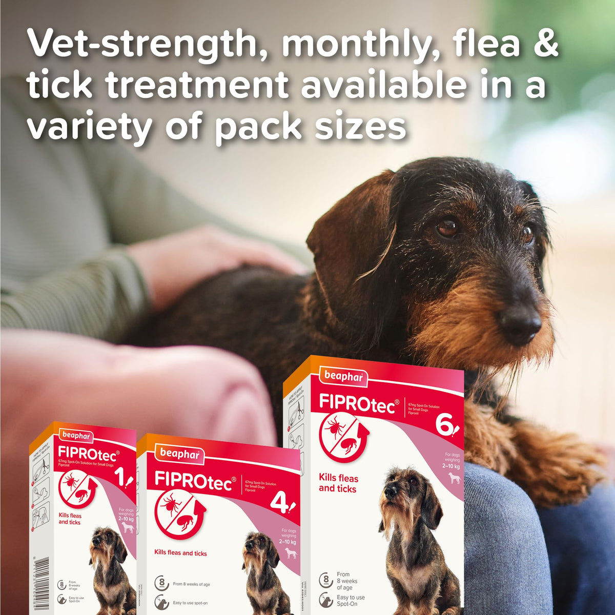 Beaphar - FIPROtec Spot-On Flea & Tick Treatment for Medium Dogs 10-20kg - 6 Pipettes - Kills Fleas & Ticks – Veterinary Medicine - Easy to Apply Monthly - Suitable for Dogs & Puppies from 8 Weeks