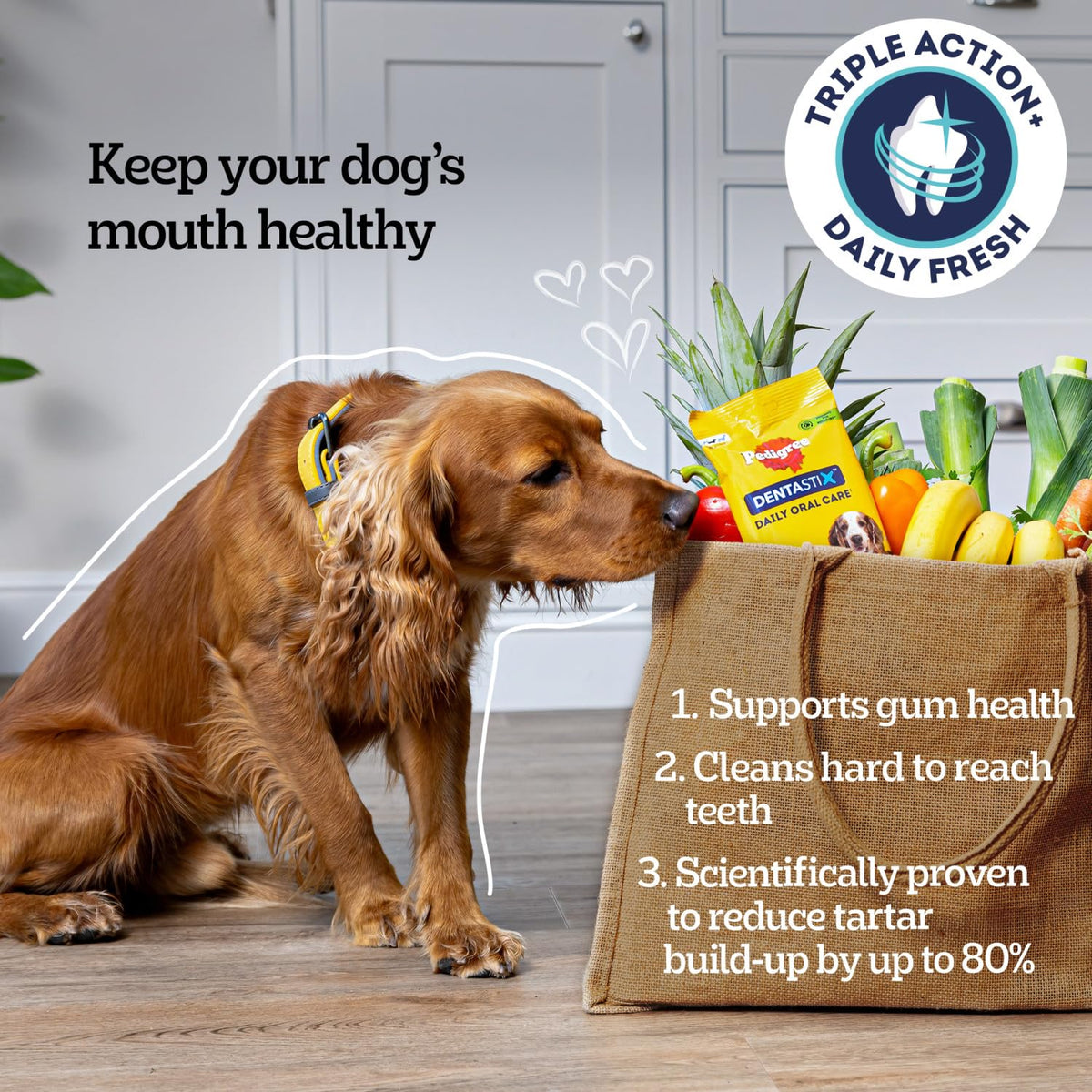 Pedigree DENTASTIX Daily Dental Sticks for Medium Dogs, 112 Sticks with Chicken and Beef