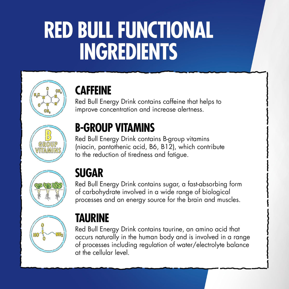 Red Bull Energy Drink Summer Edition Curuba-Elderflower, 250ml x 12
