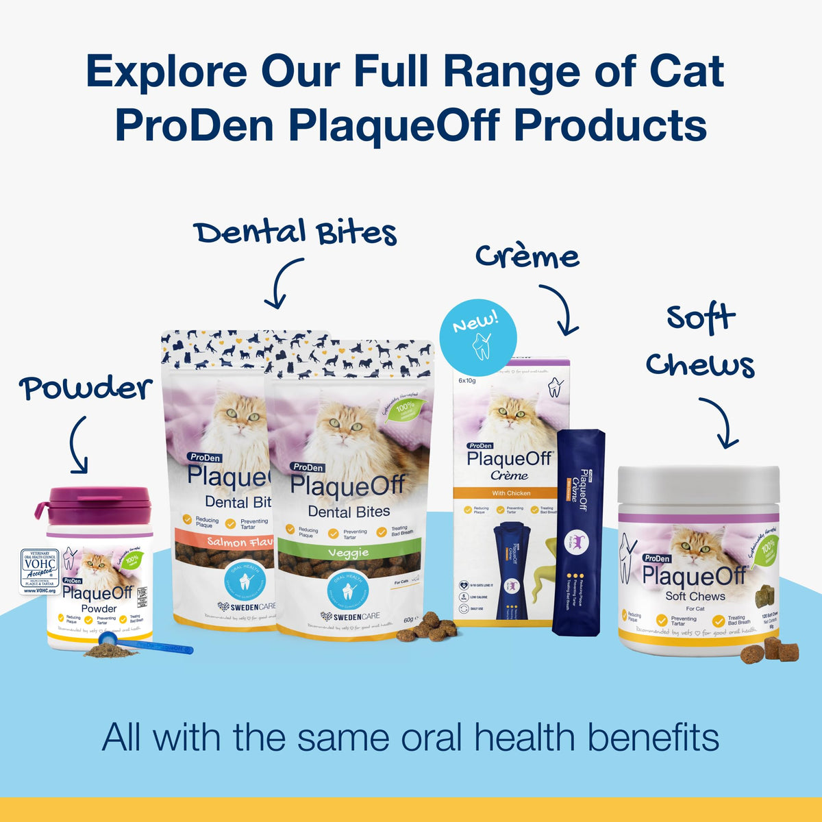 ProDen PlaqueOff 40g Dental Powder for Cats - 100% Natural, 4-Month Supply