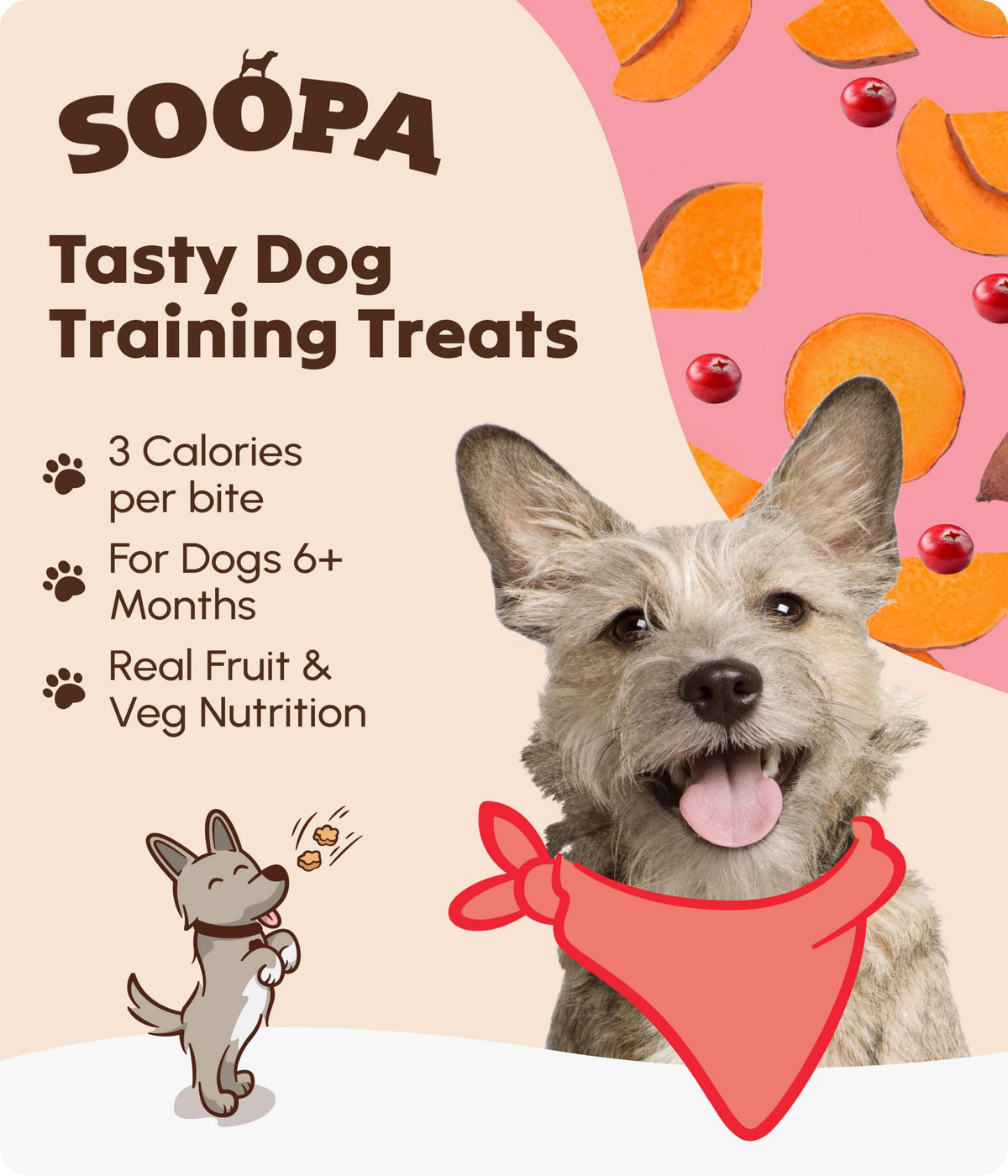 Soopa Strawberry Dog-Quiri Healthy Bites, Dog Training Treats, 50 g, 1-Pack