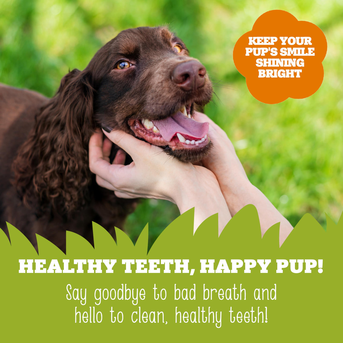 Soopa Carrot & Pumpkin Dog Dental Sticks, Chews to Clean Teeth, 100 g, 1-Pk