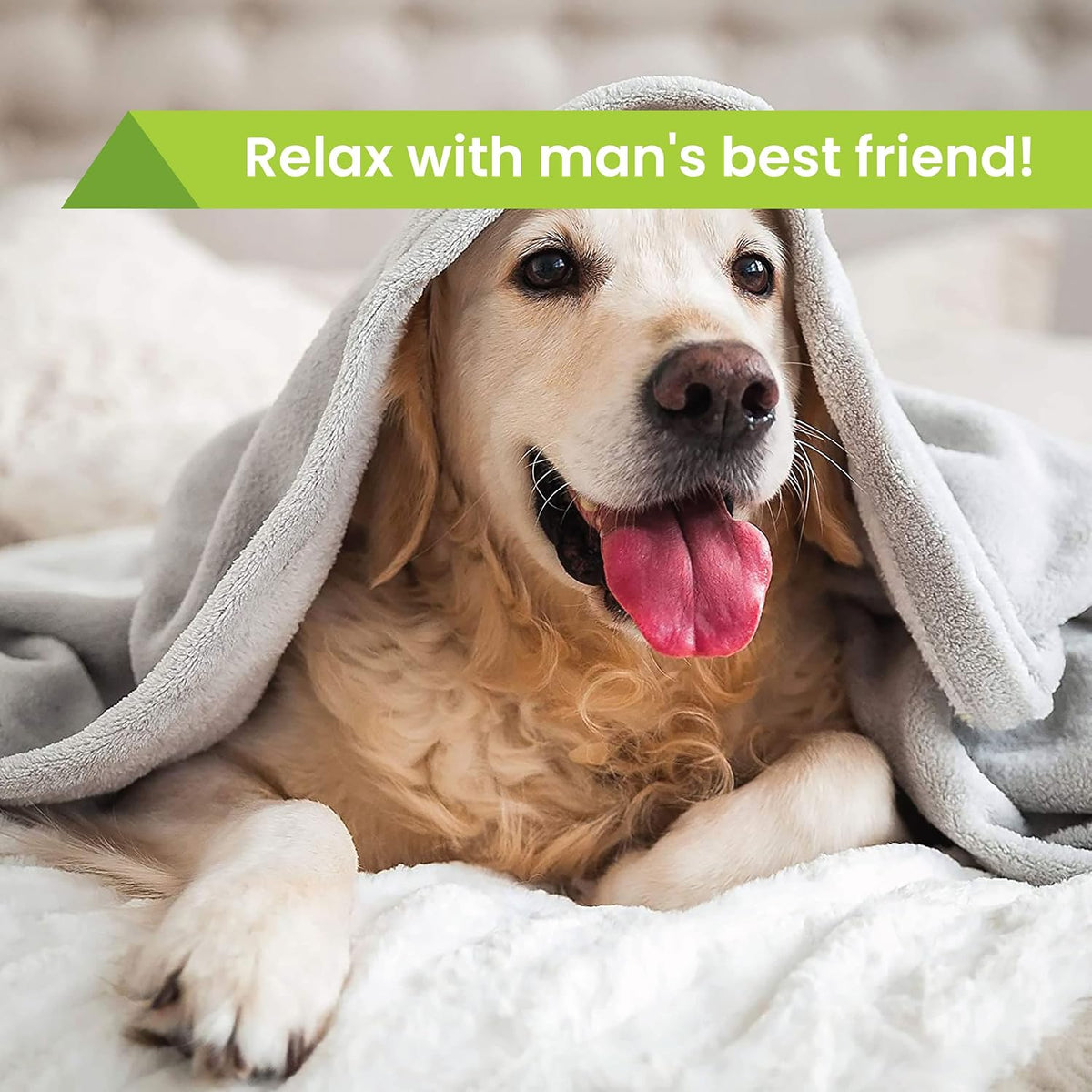 Activity Superstore Dog Friendly Hotel Stay Gift Experience Voucher