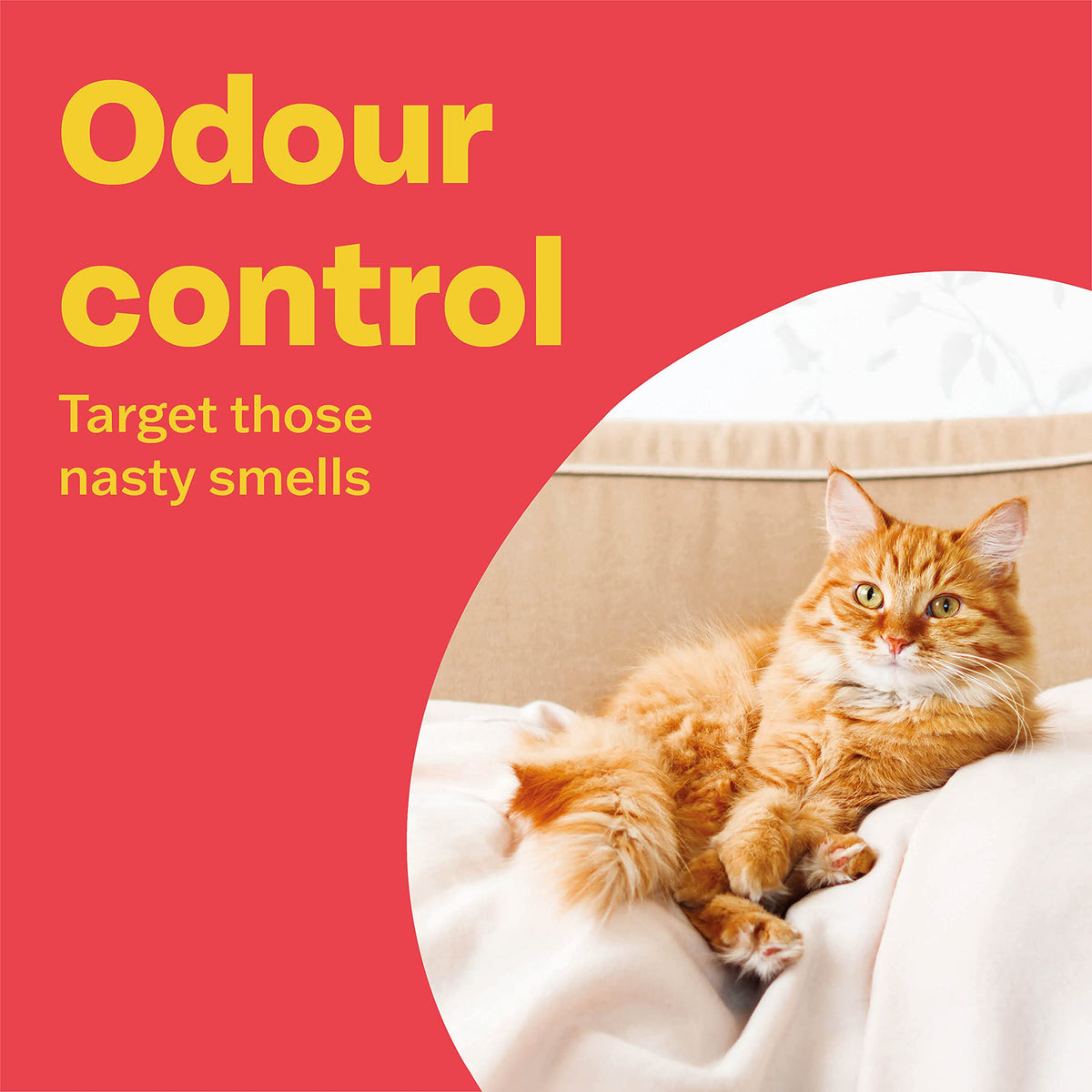 Bob Martin Cat Litter Freshener Powder, Baby Soft Scent - Effective Odour Control for Longer Lasting Freshness, Made in the UK (400g) (Packaging can vary)