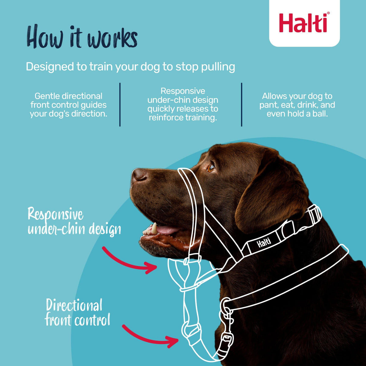 Halti Headcollar for Dogs | Size 3, Black
