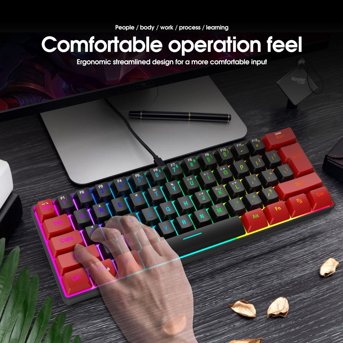 Snpurdiri Wired Mechanical Gaming Keyboard, 60% Size, LED Backlight, 61 Keys, Small Wired Office Keyboard for Windows Laptop/PC, Mac (Black-Red, Blue Switches)