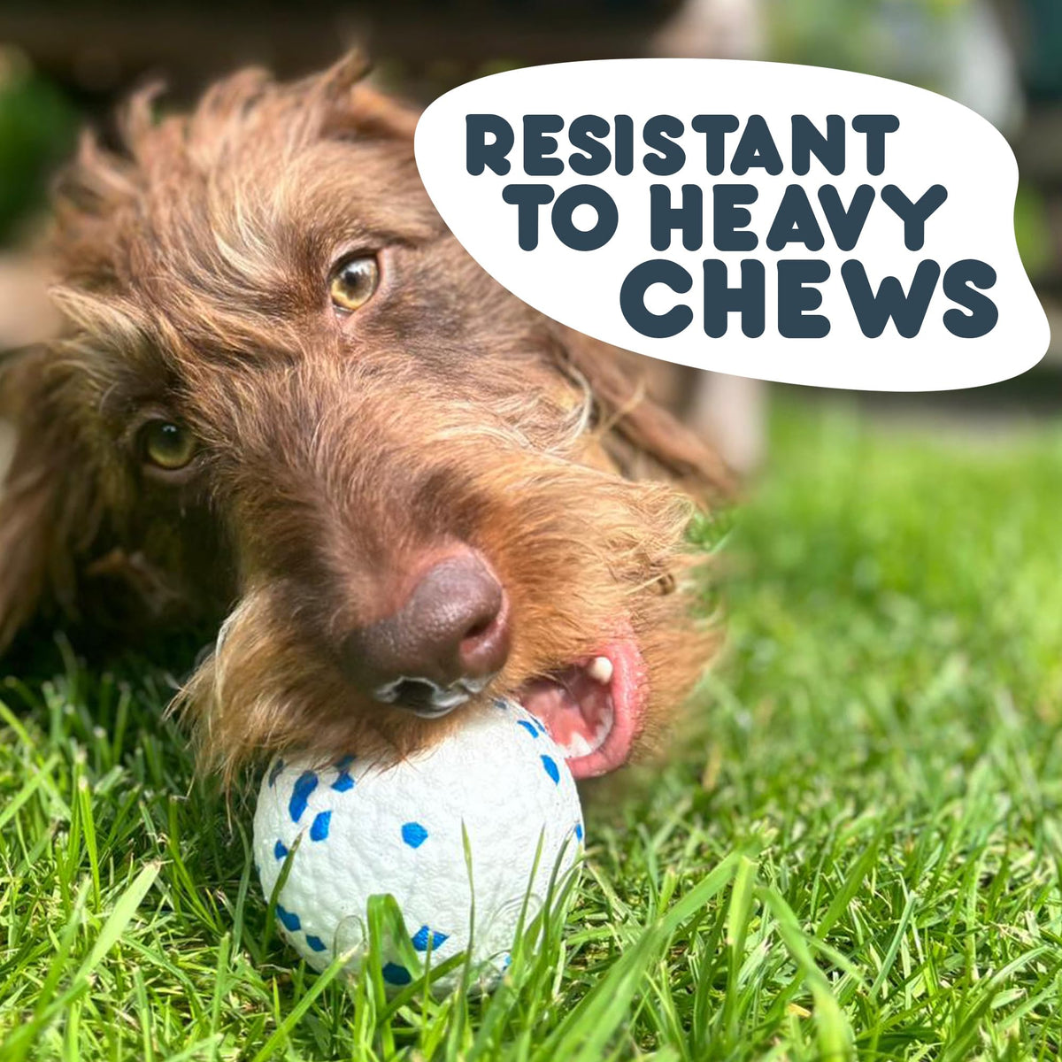 Petface Super Tennis Balls For Dogs, Throw and Fetch, Outdoor Exercise (Pack of 12)
