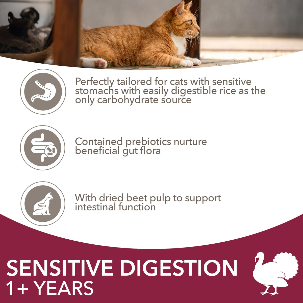 IAMS Adult Complete Dry Cat Food Chicken 3kg - Supports Strong Immune System