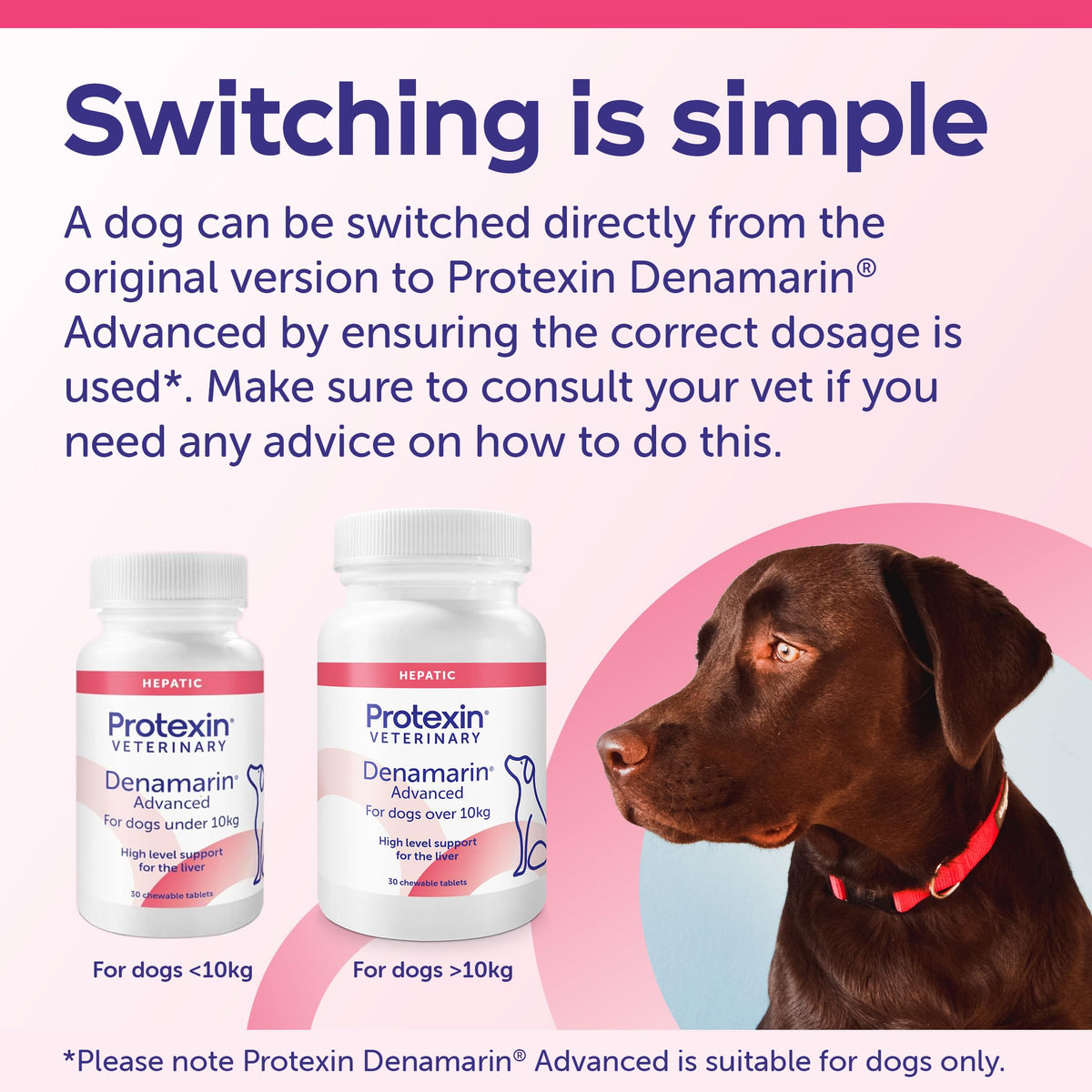 Protexin Denamarin Medium Dog 30 Tablets