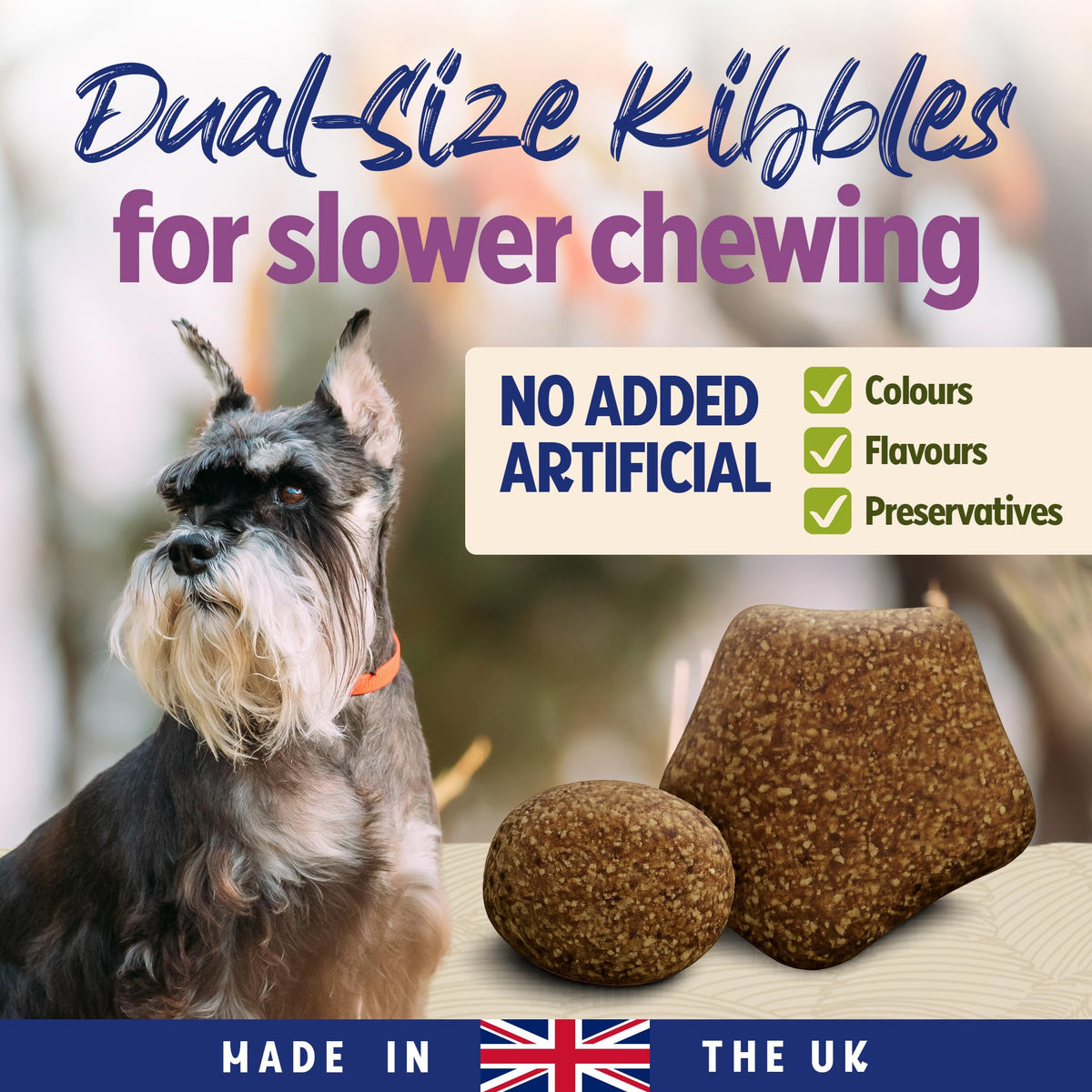 BETA Adult Sensitive Salmon Dry Dog Food 14kg