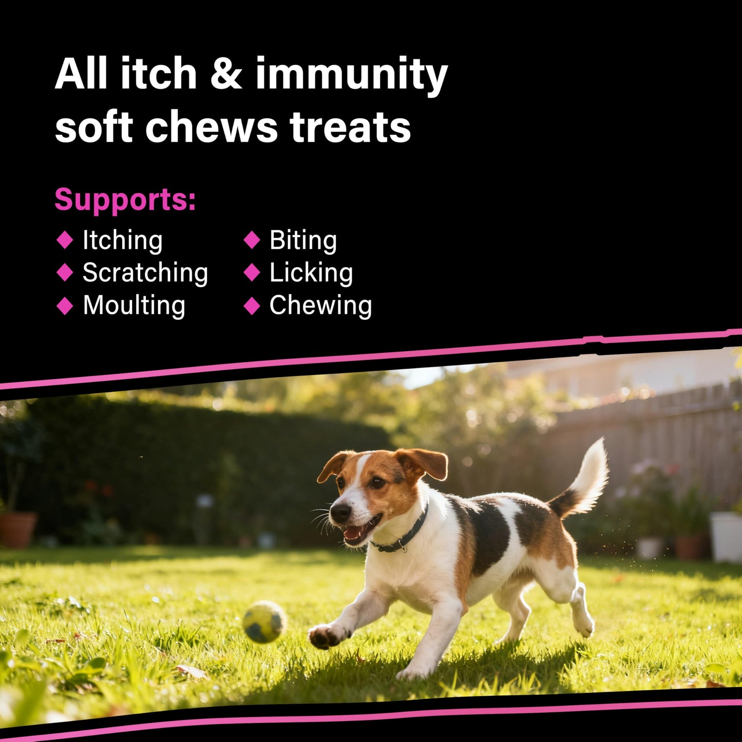Joint Supplements for Senior Dogs, 120 Tablets with Glucosamine, Green Mussel & Vitamin C, Senior Dog Joint Supplements - Relieve Stiff Joints & Support Mobility for Your Dog