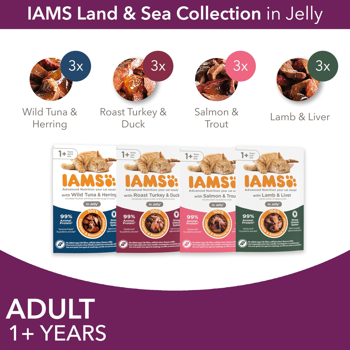 IAMS Adult Wet Cat Food Land & Sea in Jelly 72 x 85g
