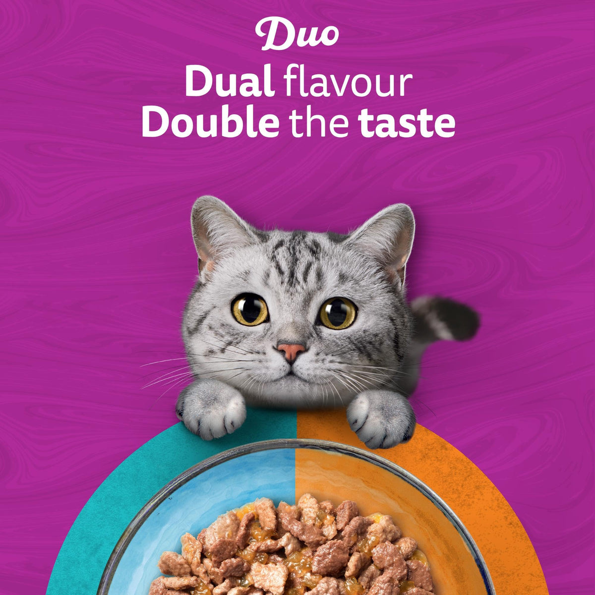 WHISKAS DUO Adult Wet Cat Food in Jelly 12x85g Surf & Turf (Pack of 4)