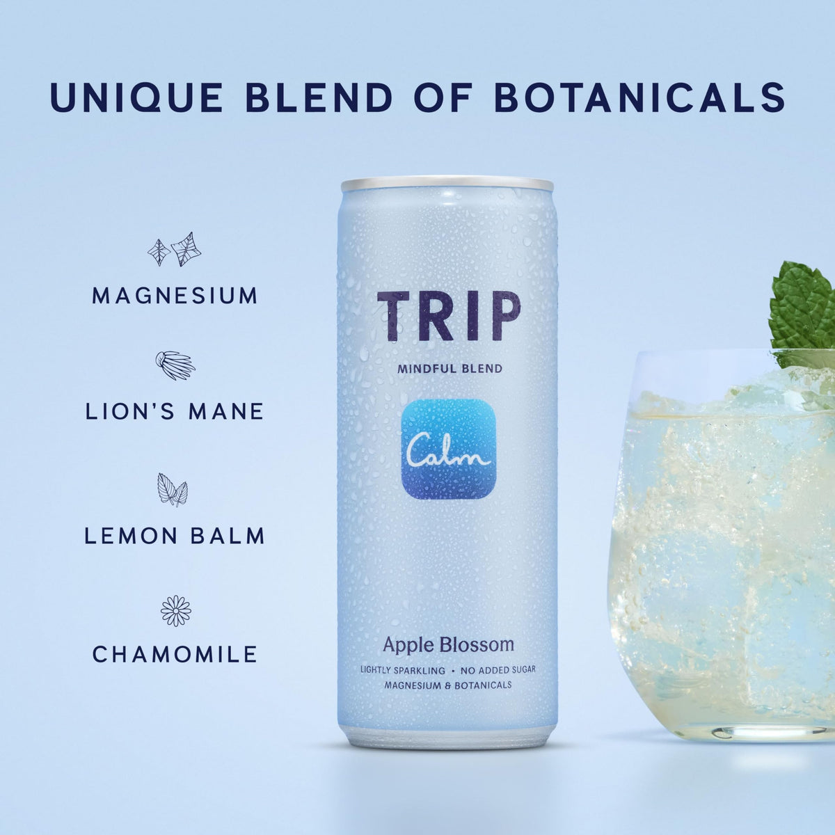 TRIP Cucumber Mint Sparkling drink with 120MG calming Magnesium + Lion’s Mane + Chamomile + Lemon Balm. Low Calorie and Vegan (Pack of 12 x 250ml) - Packaging Might Vary