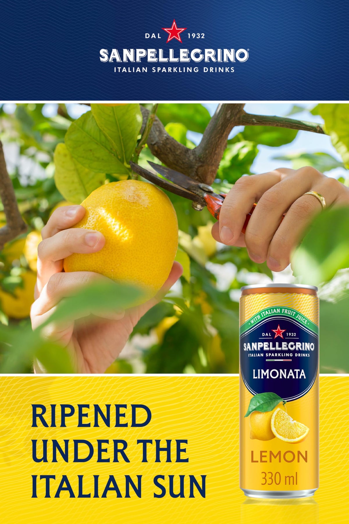 San Pellegrino Italian Sparkling Drinks Tastefully Light Sparkling Orange Canned Soft Drink 12 x 330ml | 64k Cals per Can (Pack of 2)