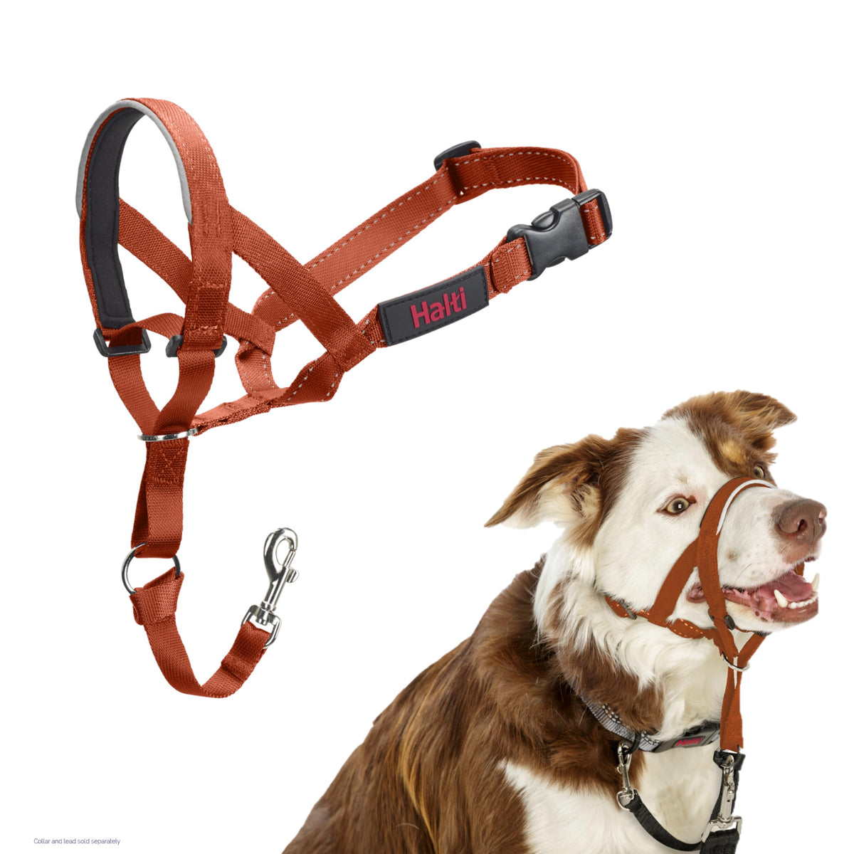 Halti Headcollar for Dogs | Size 3, Black