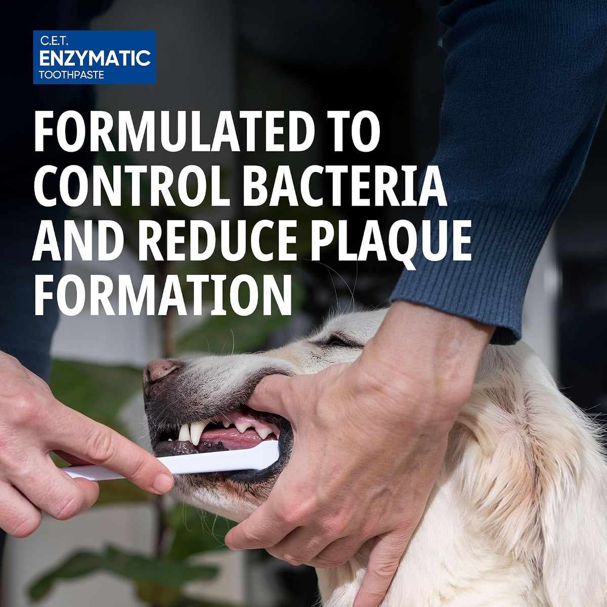 Virbac CET Enzymatic Toothpaste for Dogs - Control Bacteria & Reduce Plaque | Poultry Flavour | 70G