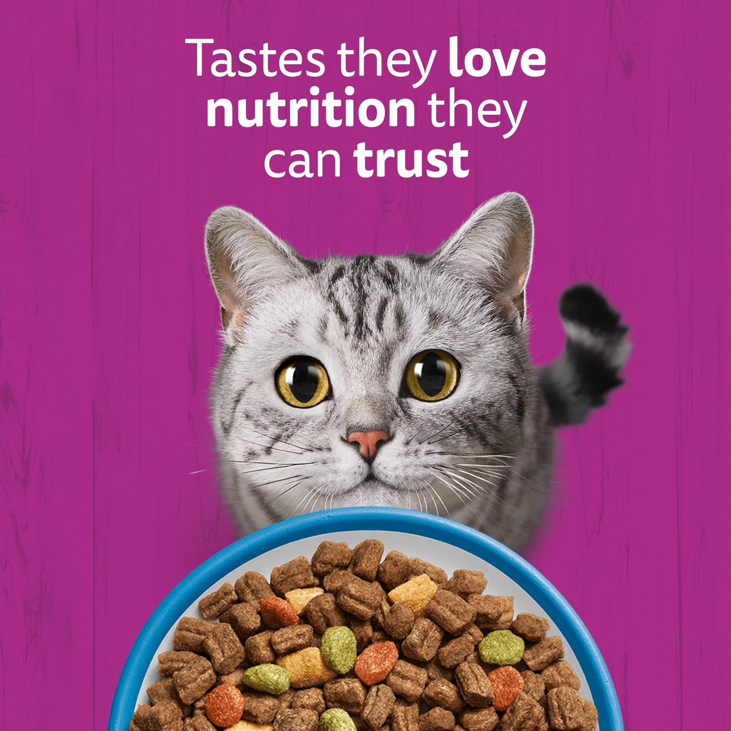WHISKAS Adult Dry Cat Food 7kg with Chicken