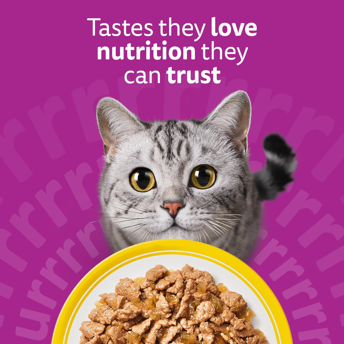 WHISKAS Adult Wet Cat Food in Jelly 40x85g Fish Favourites