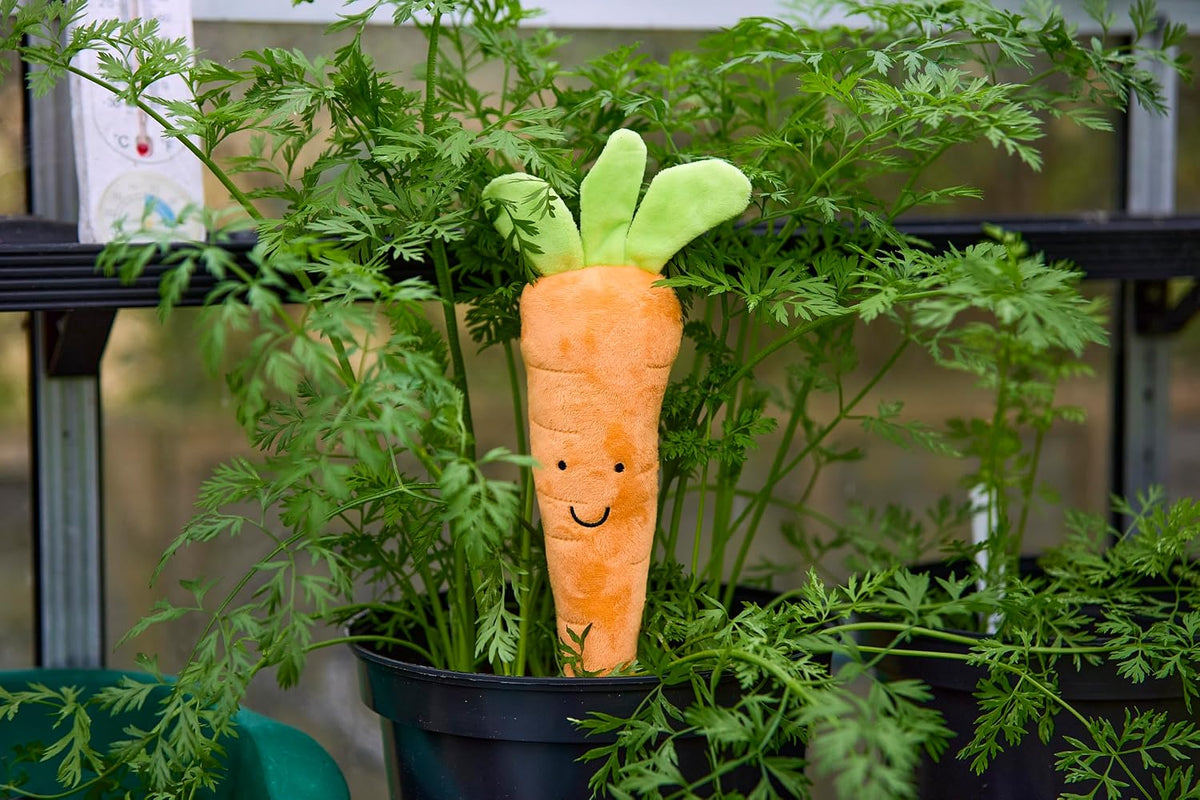 Petface Foodie Faces Fluffy Carrot Dog Toy