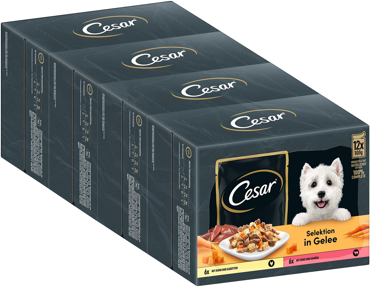 CESAR Pouch Selection in Jelly, Fresh Adult Wet Dog Food Pouches in Delicious Jelly with Succulent Meats and Vegetables, 48 x 100 g