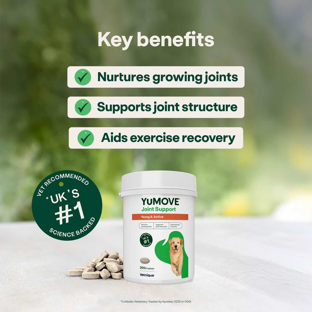 YuMOVE Young and Active Dog | Joint Supplement for Dogs to Support Active and Growing Joints Aged Under 6 | 60 Tablets Clear