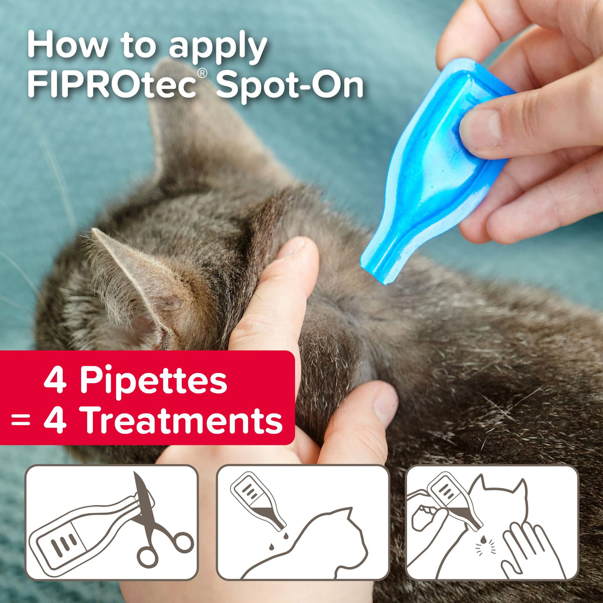 Beaphar - FIPROtec Spot-On Flea & Tick Treatment for Cats - 6 Pipettes - Kills Fleas & Ticks - Veterinary Medicine – Easy to Apply Monthly - For Cats & Kittens from 8 Weeks Old, Weighing Over 1kg