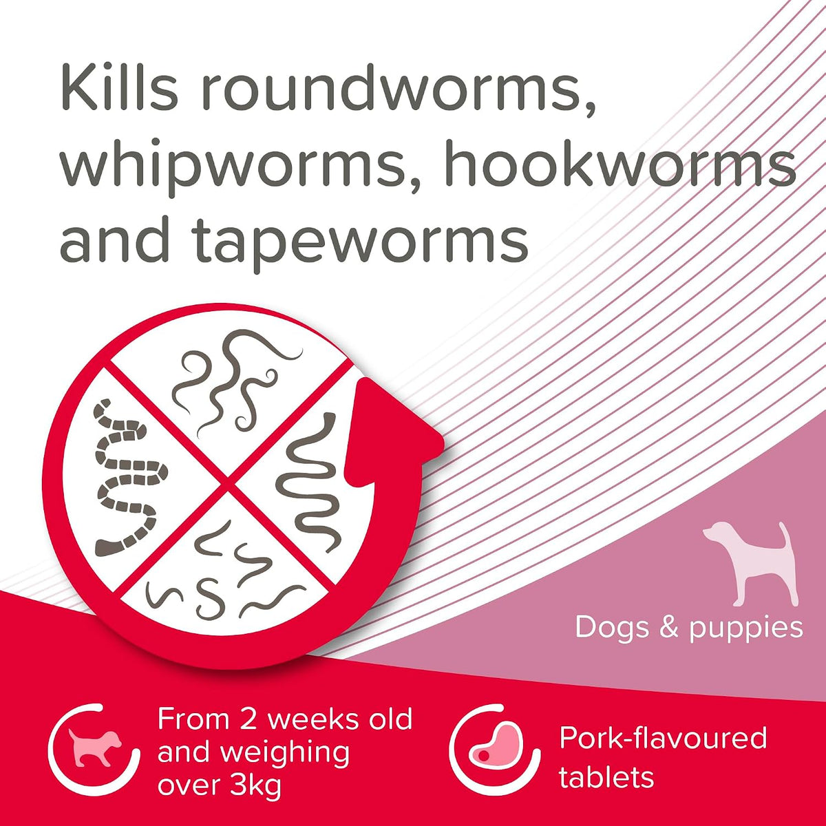 Beaphar - WORMclear® Tablets for Dogs up to 20kg - 2 Tablets - Kills All Common UK Intestinal Worms (Roundworms & Tapeworms) - Vet Strength Wormer - Pork-Flavoured - For dogs over 2 weeks old & 3kg