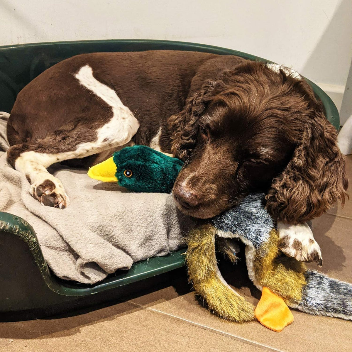 Petface Honking and Squeaky Duck Plush Dog Toy