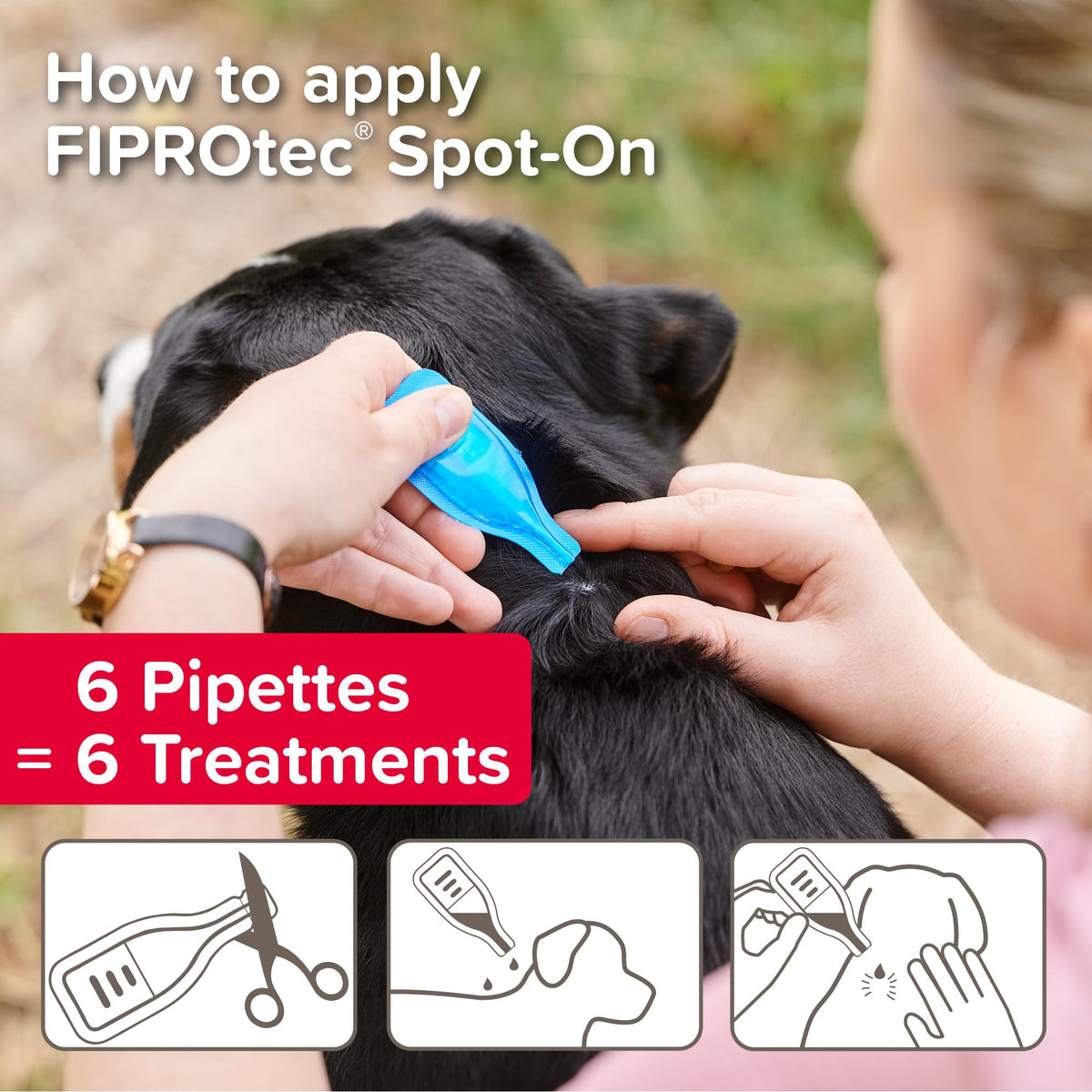 Beaphar - FIPROtec Spot-On Flea & Tick Treatment for Medium Dogs 10-20kg - 6 Pipettes - Kills Fleas & Ticks – Veterinary Medicine - Easy to Apply Monthly - Suitable for Dogs & Puppies from 8 Weeks