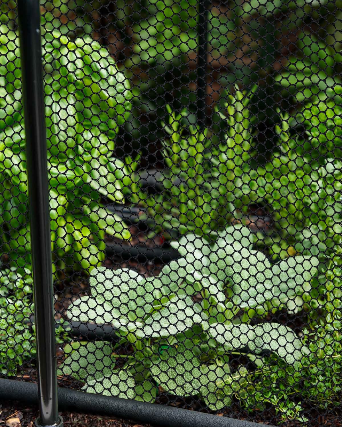 Chicken Wire,16M Wire Mesh Roll,Chicken Wire Mesh for Pet Rabbit Chicken Fencing