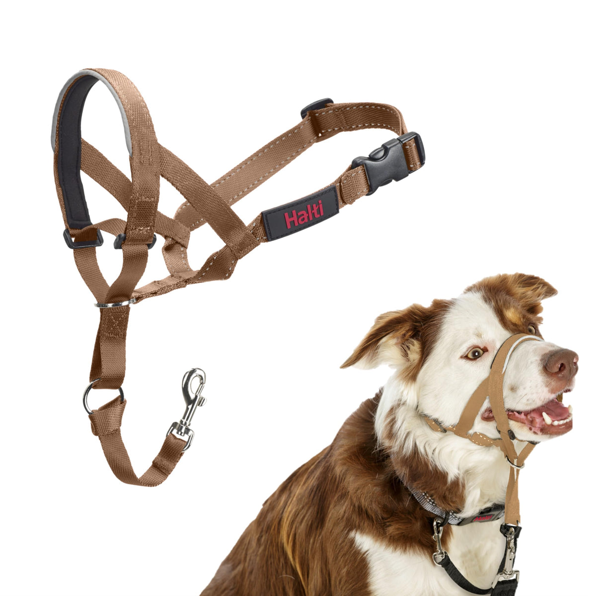 Halti Headcollar for Dogs | Size 3, Black