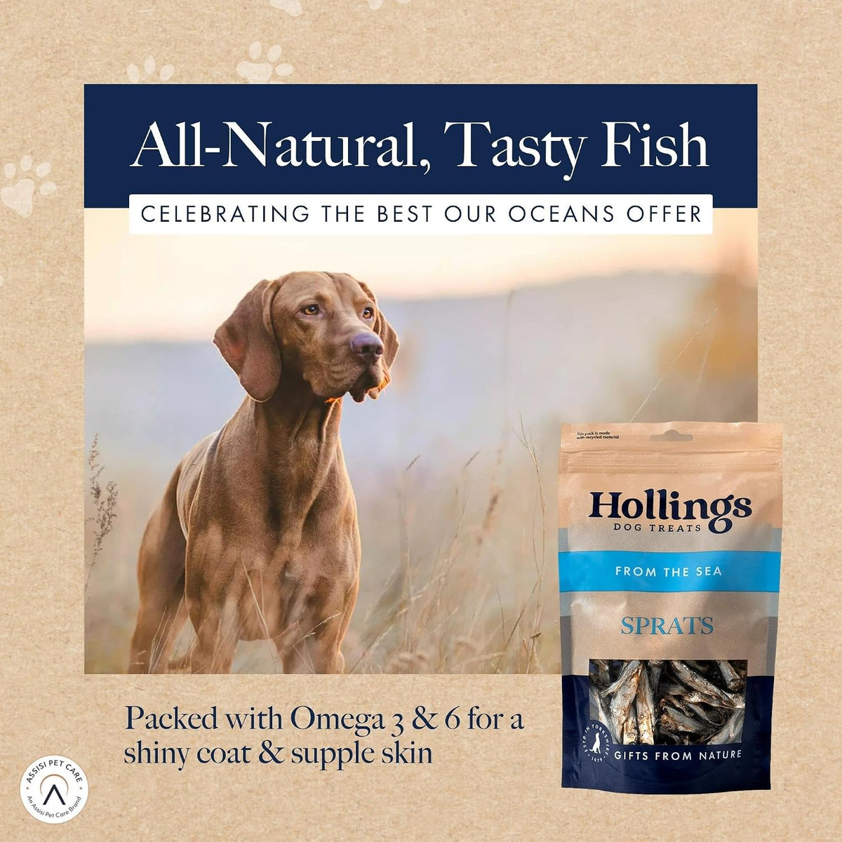 Hollings Sprats Dog Treats, 100% Natural with Fresh Fish Air Dried Treats for Dogs, Hypoallergenic and Grain Free 100g (Pack of 10)