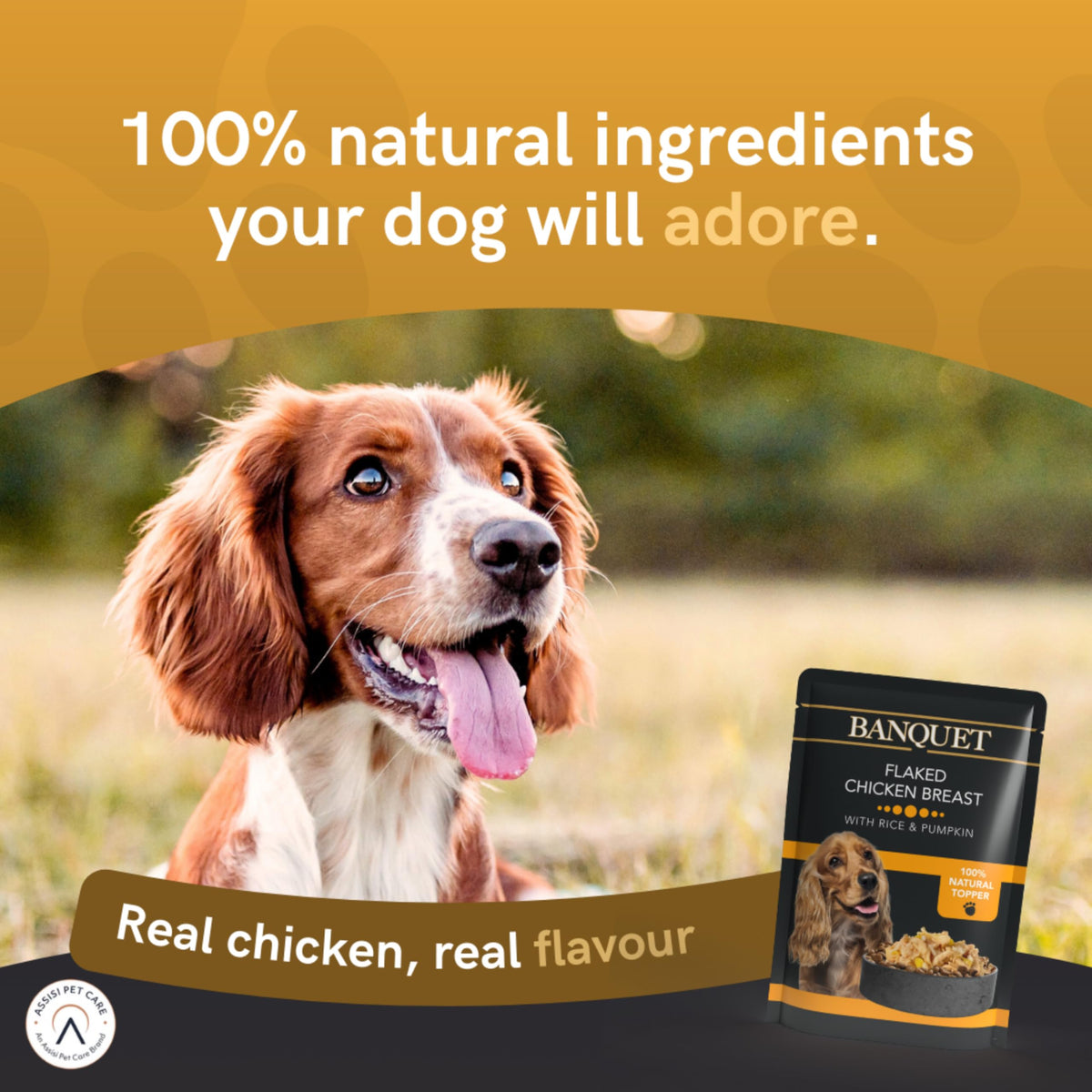 HiLife Banquet Adult Wet Dog Food, Mixed Multipacks Classic Collection & Supreme Selection, Made with 100% Natural Ingredients (36 Pouches x 100g)