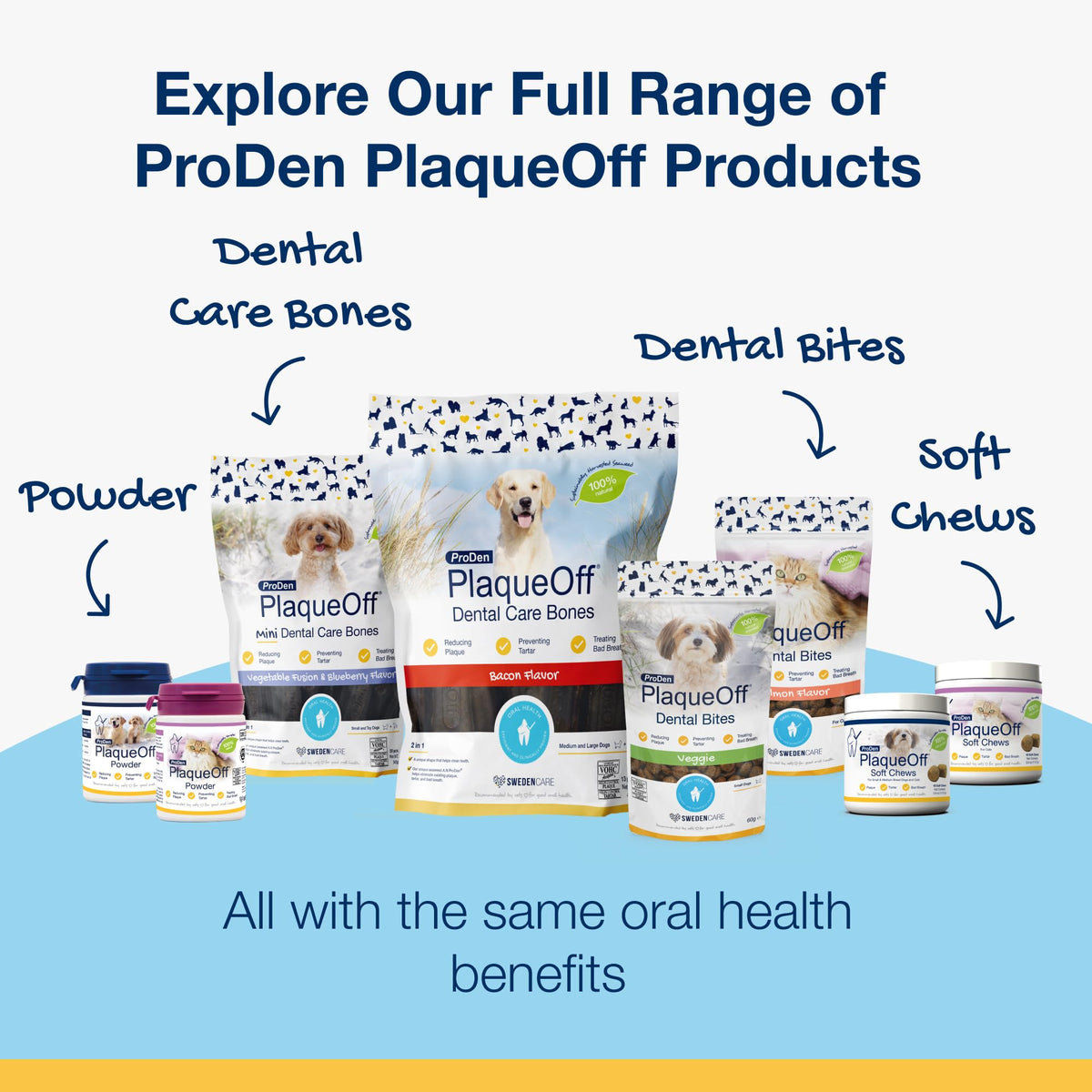 ProDen PlaqueOff 40g Dental Powder for Cats - 100% Natural, 4-Month Supply