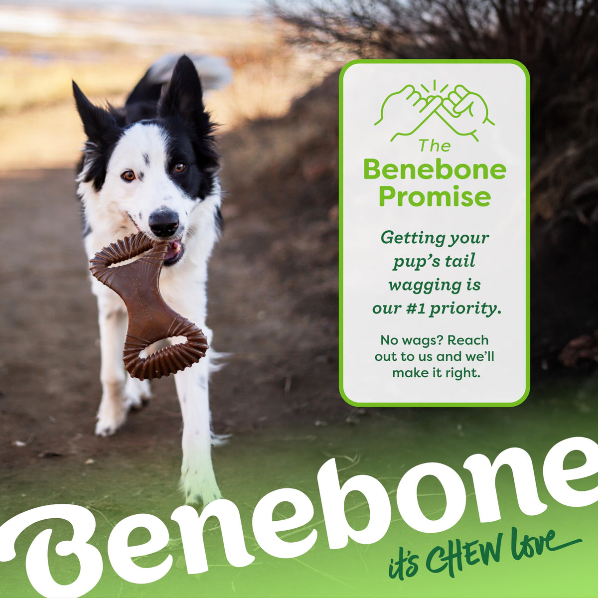 Benebone Wishbone Dog Chew Toy for Aggressive Chewers, Real Bacon, Medium