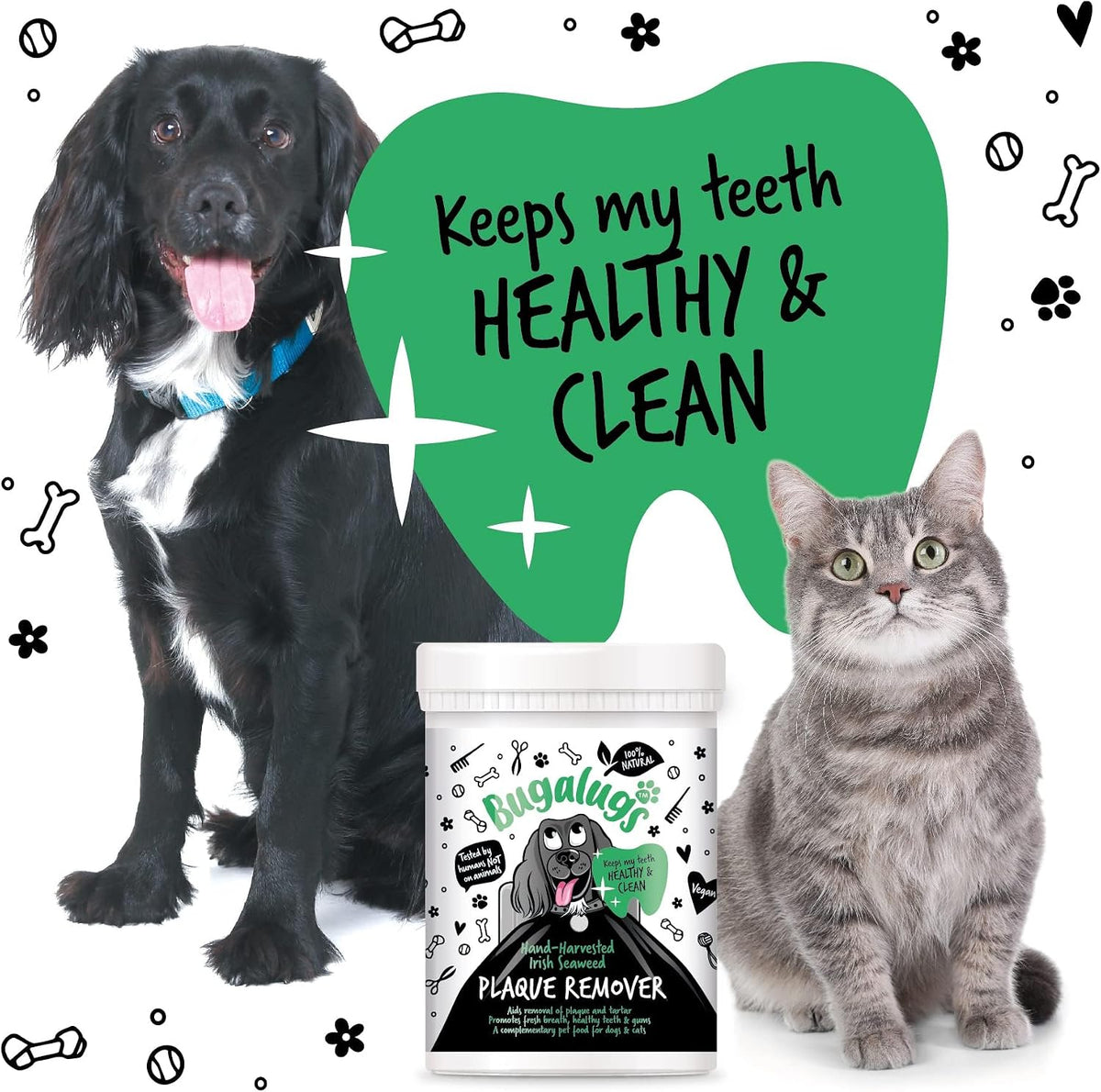 BUGALUGS Plaque Off Remover for Dog 70g Teeth & Bad Breath 100% Natural | Plaque Off Dogs No Need for Dog Toothbrush or Dog Toothpaste | Remove Dog Bad Breath & Plaque Remover for Dogs & Cats