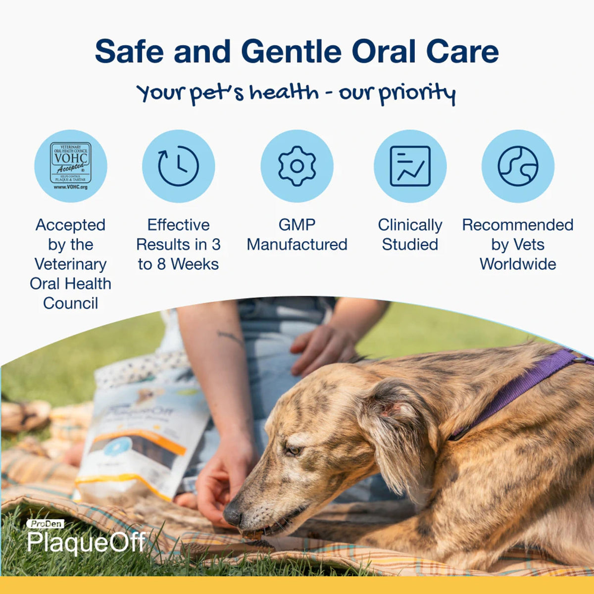 ProDen PlaqueOff 13 Dental Bones for Medium & Large Dogs, Chicken & Pumpkin
