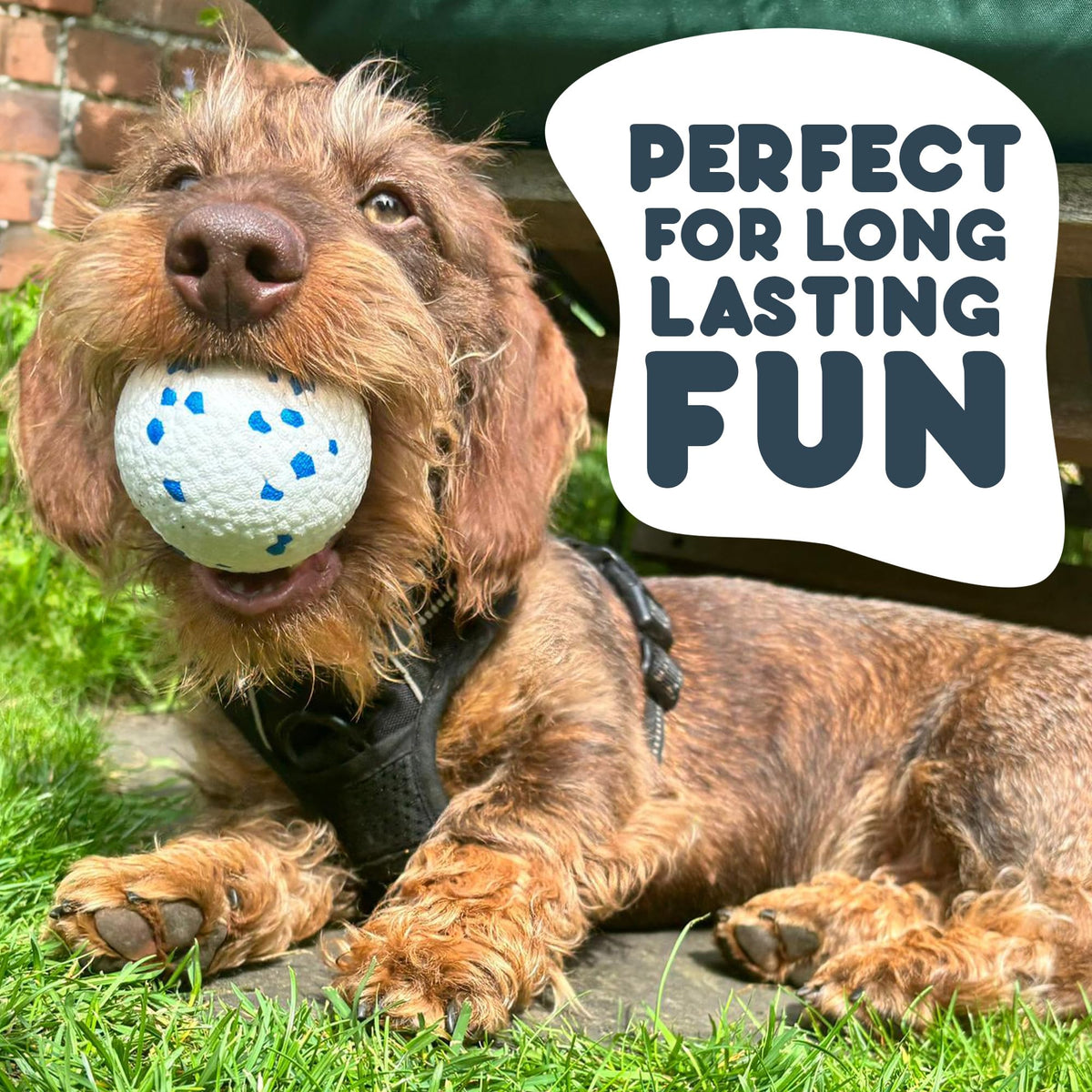 Petface Super Tennis Balls For Dogs, Throw and Fetch, Outdoor Exercise (Pack of 12)