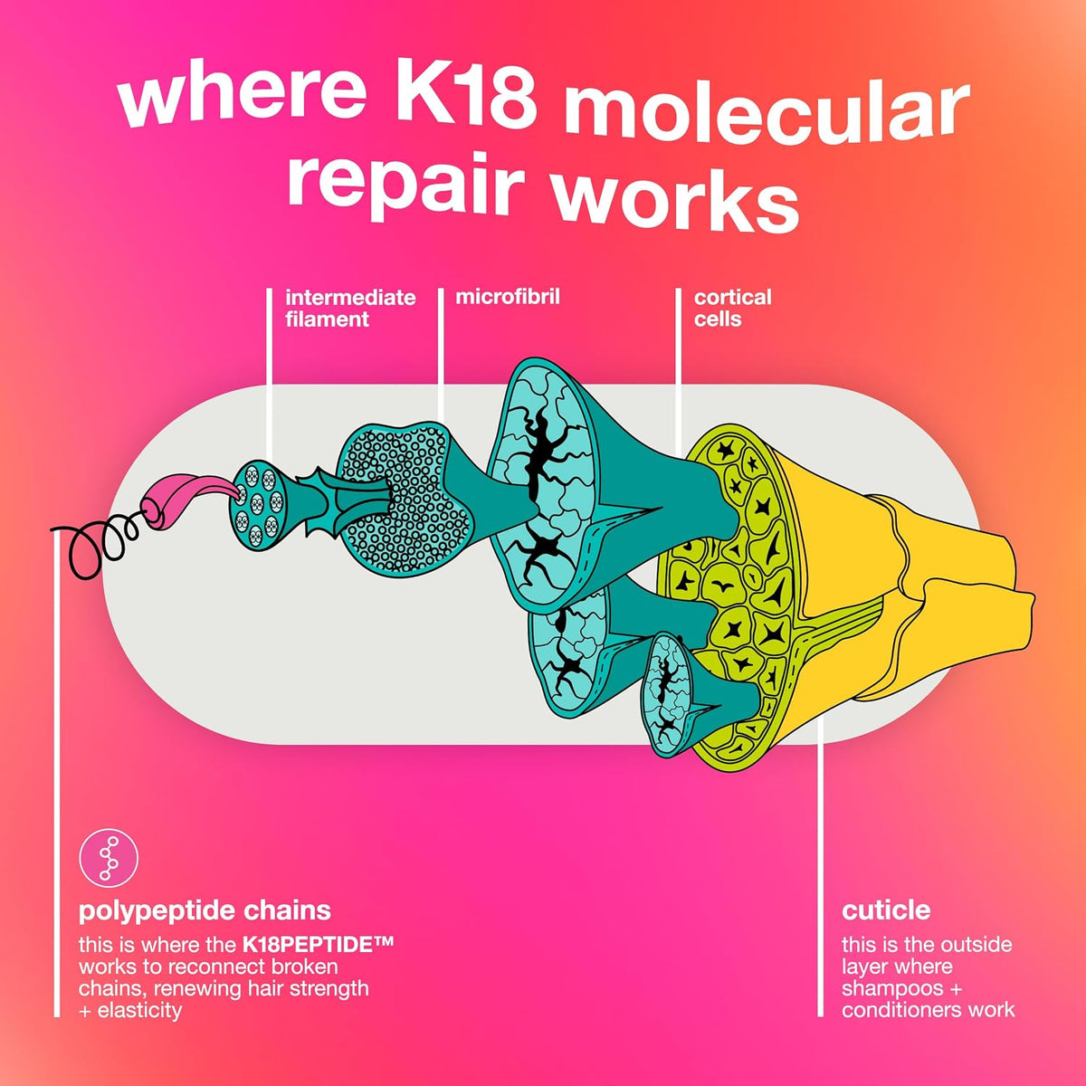 K18 Leave-In Molecular Hair Mask, Repairs Dry or Damaged Hair, Reverse Hair Damage from Bleach, Colour, Chemical Services & Heat