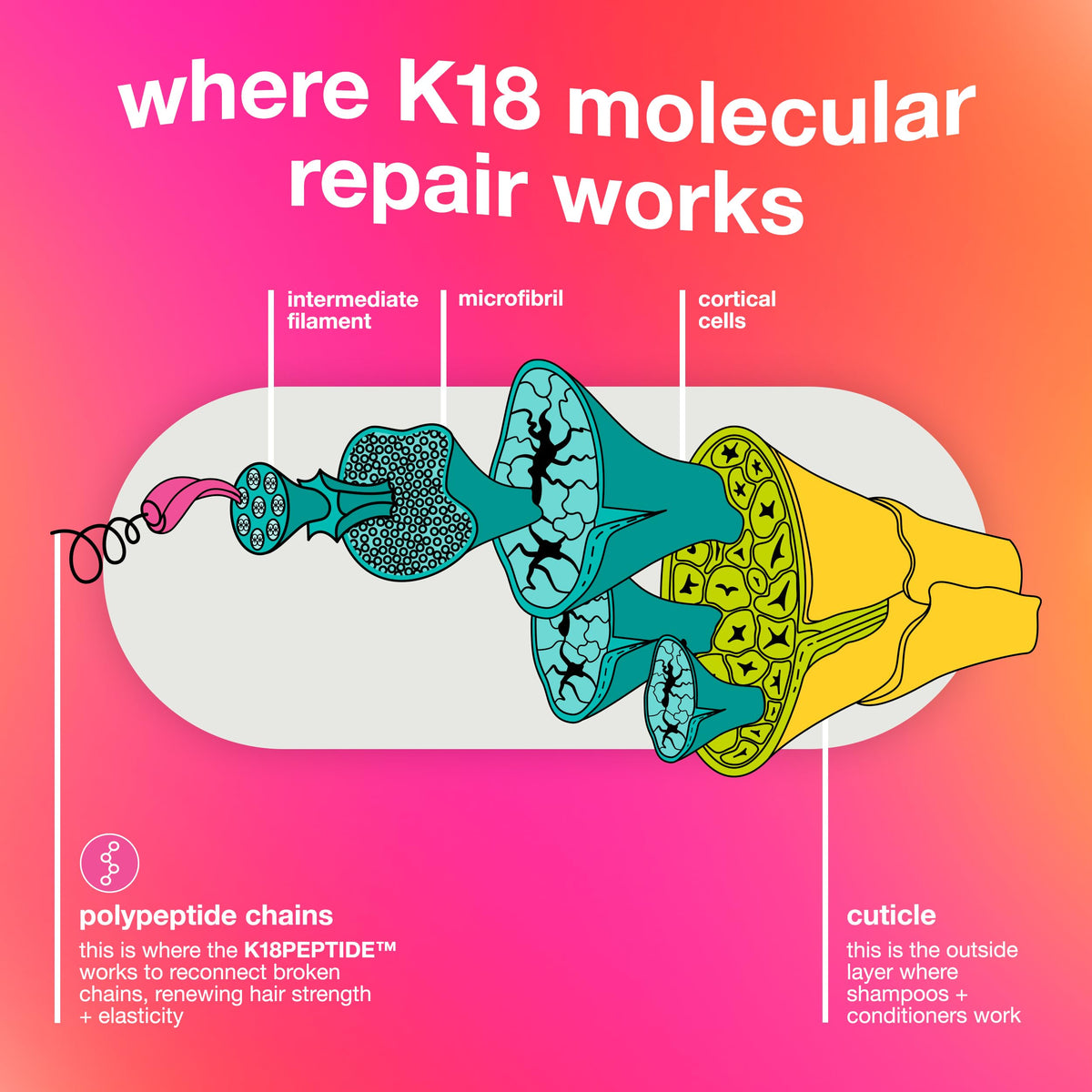 K18 Leave-In Molecular Hair Mask, Repairs Dry or Damaged Hair, Reverse Hair Damage from Bleach, Colour, Chemical Services & Heat