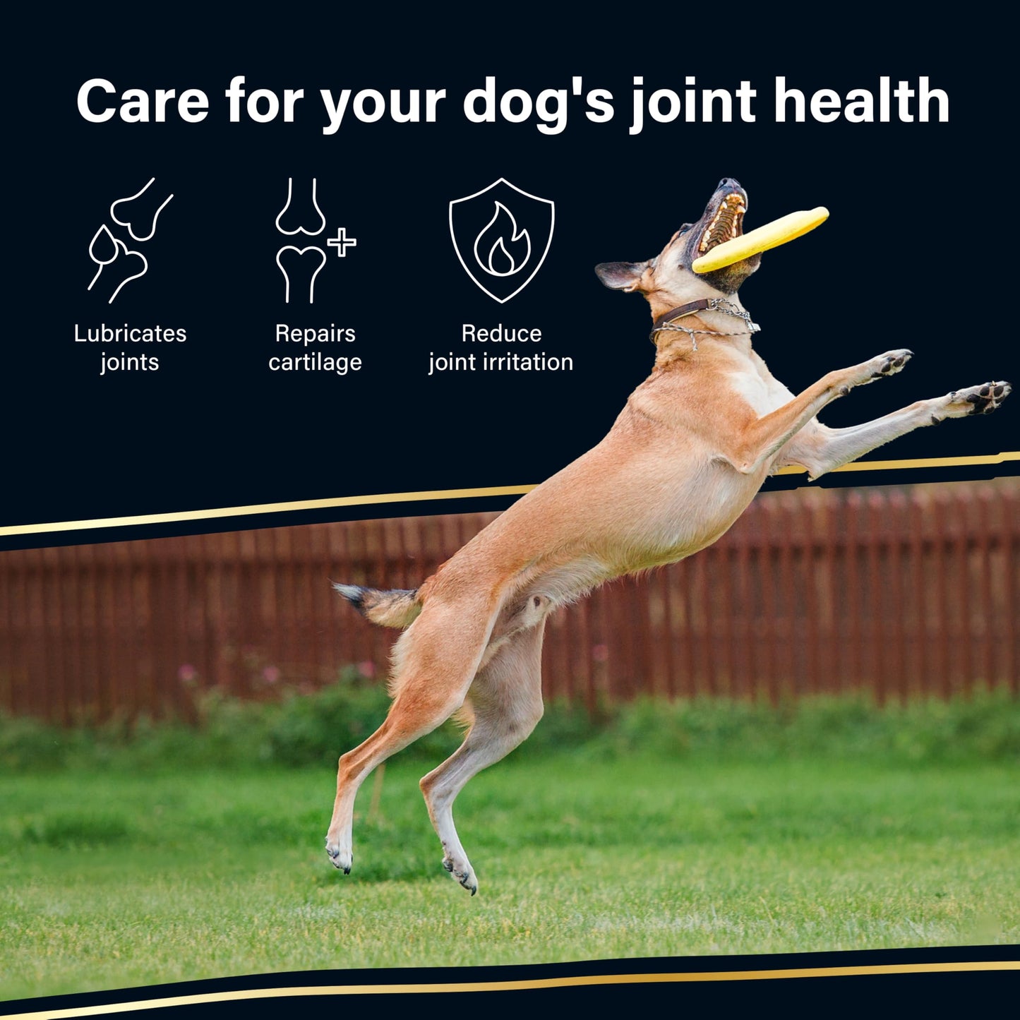 Joint Supplements for Senior Dogs, 120 Tablets with Glucosamine, Green Mussel & Vitamin C, Senior Dog Joint Supplements - Relieve Stiff Joints & Support Mobility for Your Dog