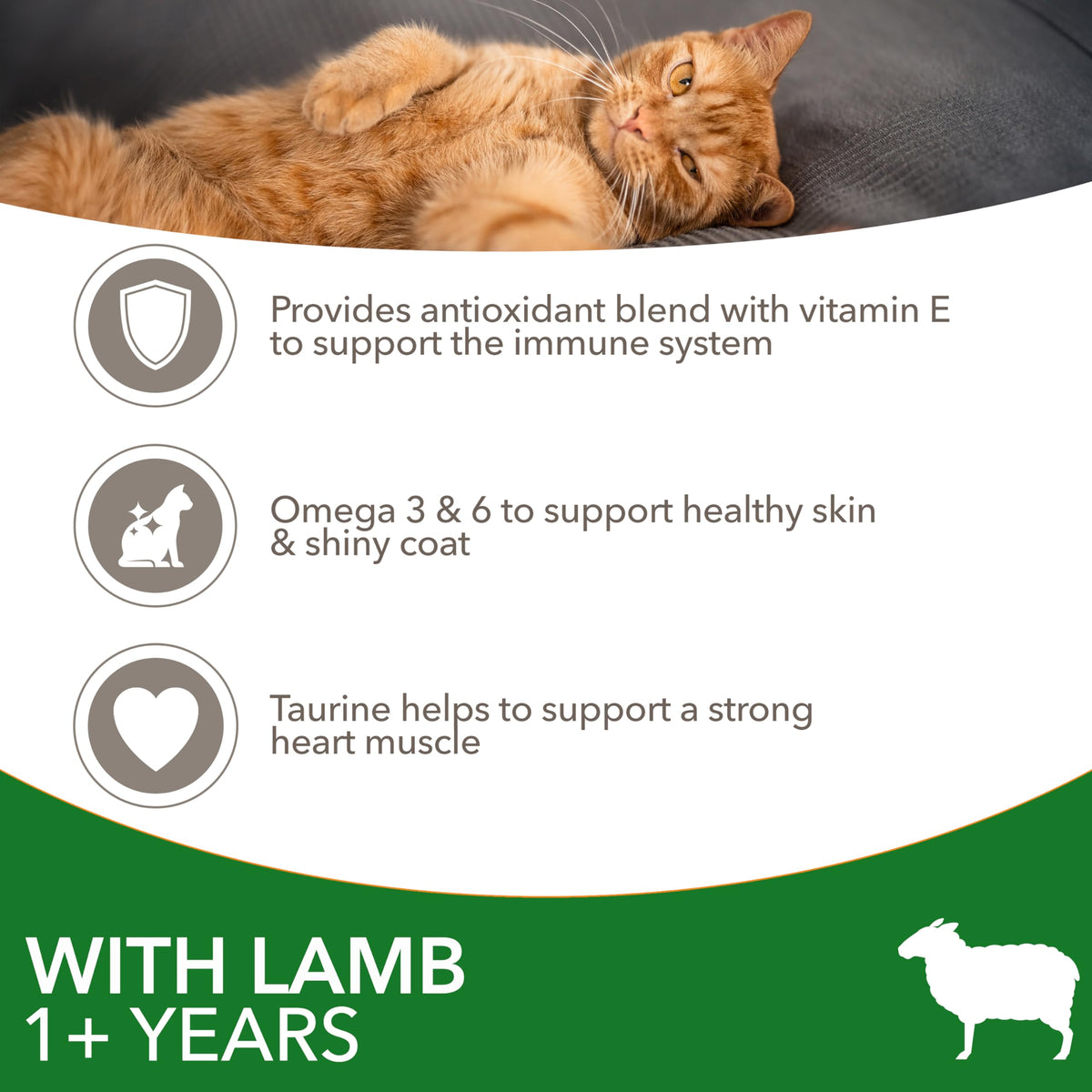 IAMS Adult Complete Dry Cat Food Chicken 3kg - Supports Strong Immune System