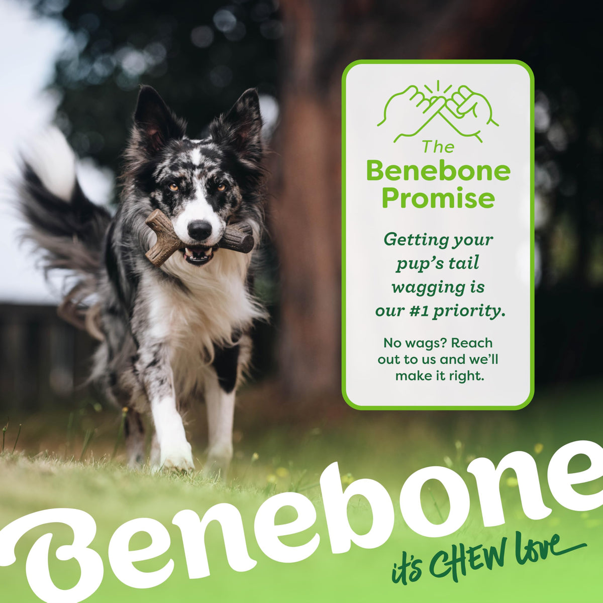 Benebone Wishbone Dog Chew Toy for Aggressive Chewers, Real Bacon, Medium