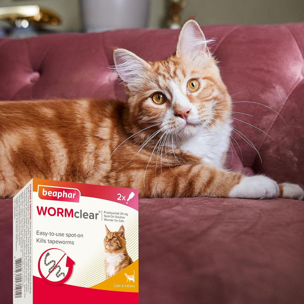 Beaphar - WORMclear® Spot-On for Cats – 2 Pipettes - Kills Tapeworms - Vet Strength Medicinal Worming Treatment - Easy-To-Use Spot-On Wormer - Suitable for Cats & Kittens Weighing More than 1kg