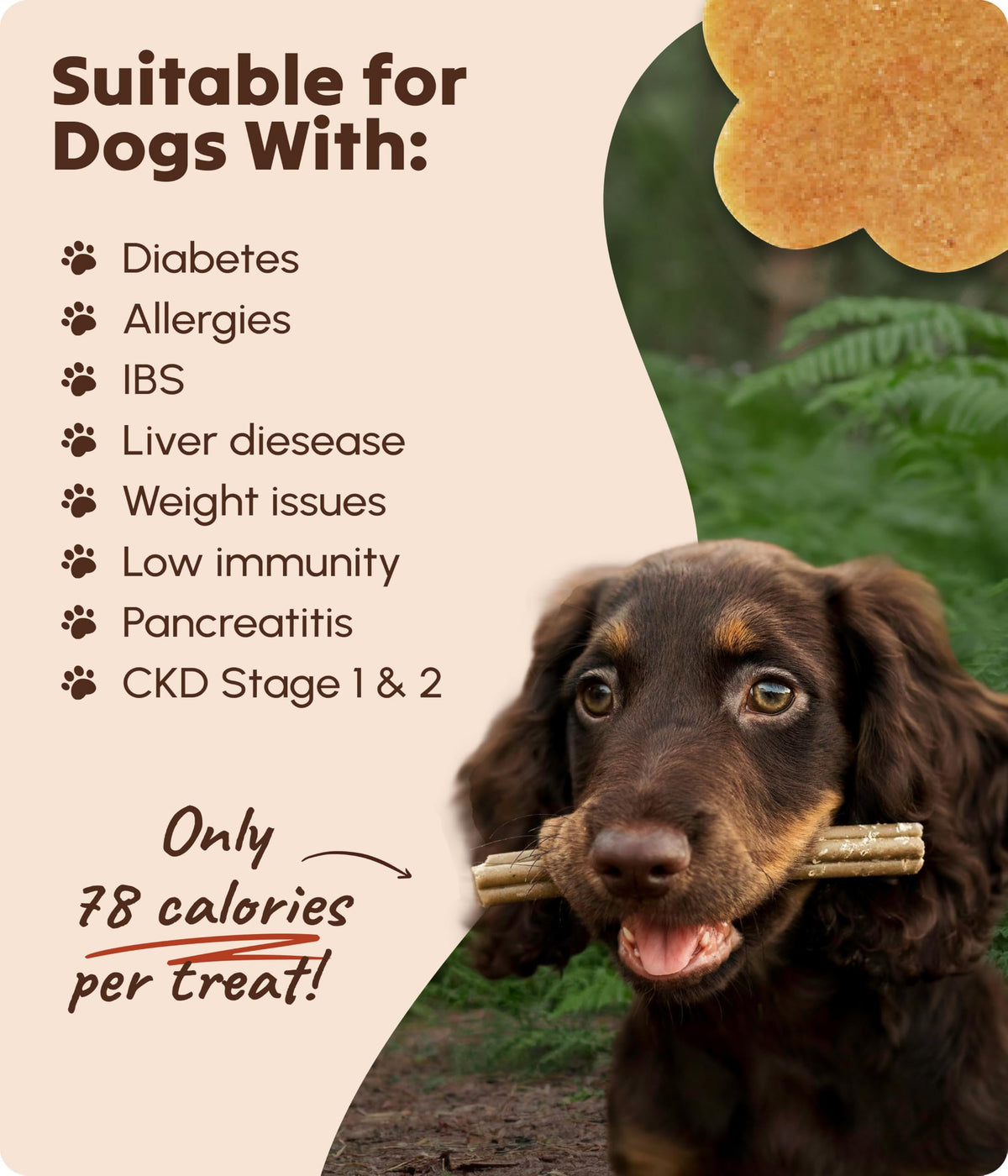 Soopa Carrot & Pumpkin Dog Dental Sticks, Chews to Clean Teeth, 100 g, 1-Pk