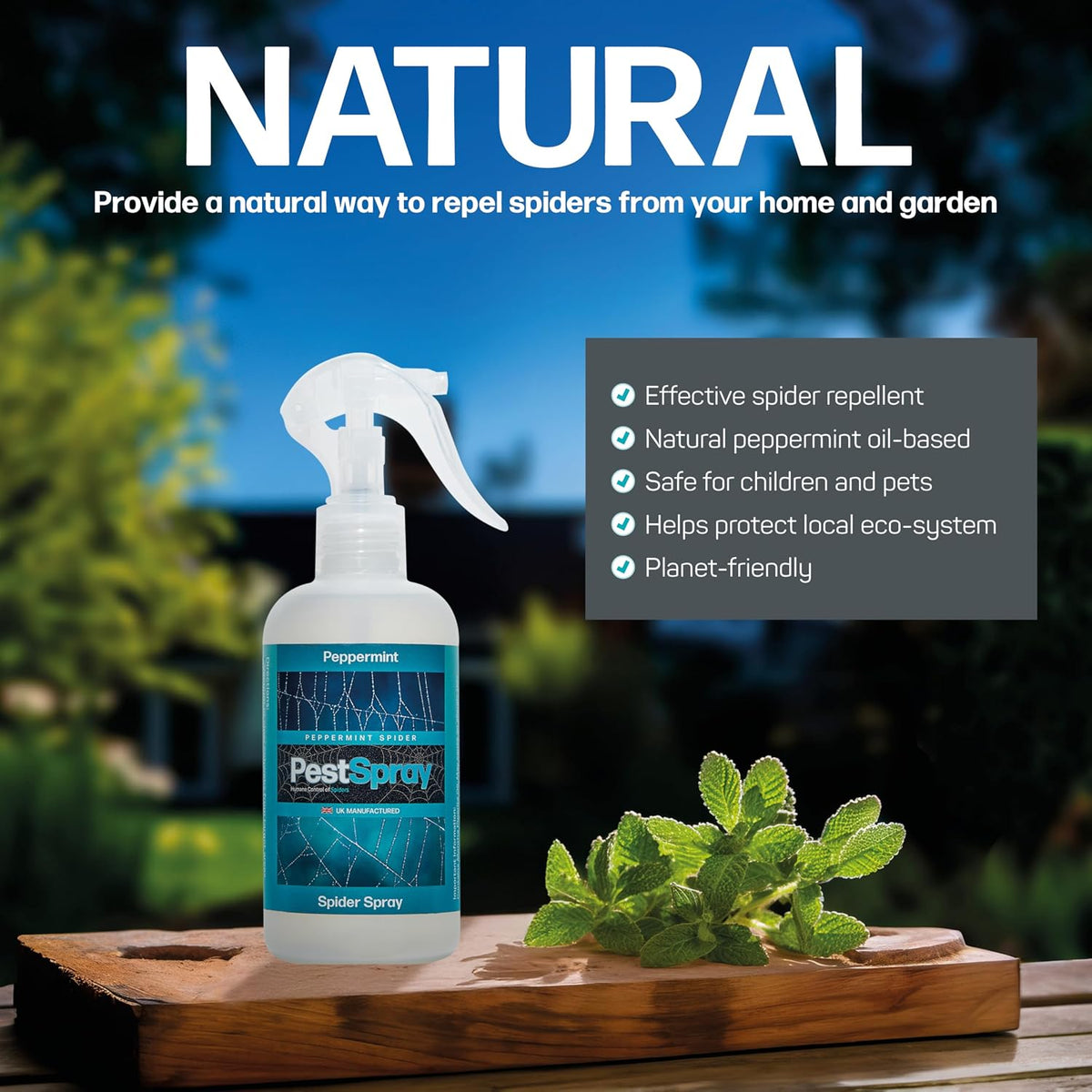 Peppermint Spider PestSpray, Peppermint Oil Spray, Spider Repellent, 250ml Bottle, Suitable Indoor & Outdoor Use