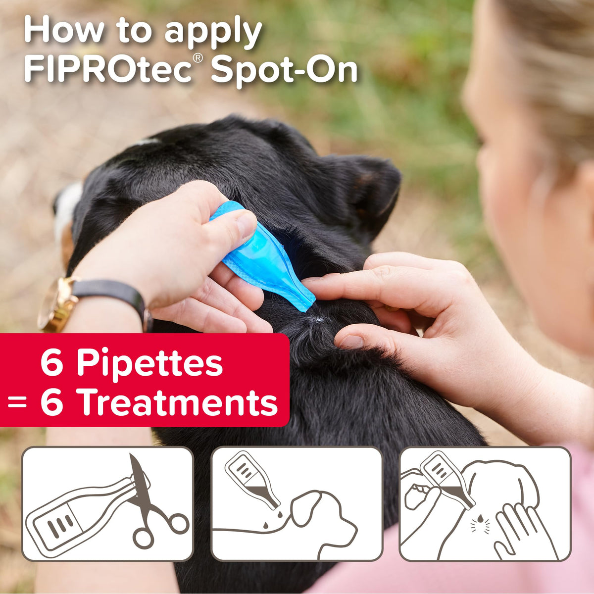Beaphar - FIPROtec Spot-On Flea & Tick Treatment for Medium Dogs 10-20kg - 6 Pipettes - Kills Fleas & Ticks – Veterinary Medicine - Easy to Apply Monthly - Suitable for Dogs & Puppies from 8 Weeks